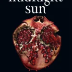 Midnight Sun book cover featuring a dark red, black, and white design with a torn paper rose or a stark, moody aesthetic.